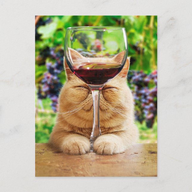 Invitation Carte Postale Chat avec verre de vin (Devant)