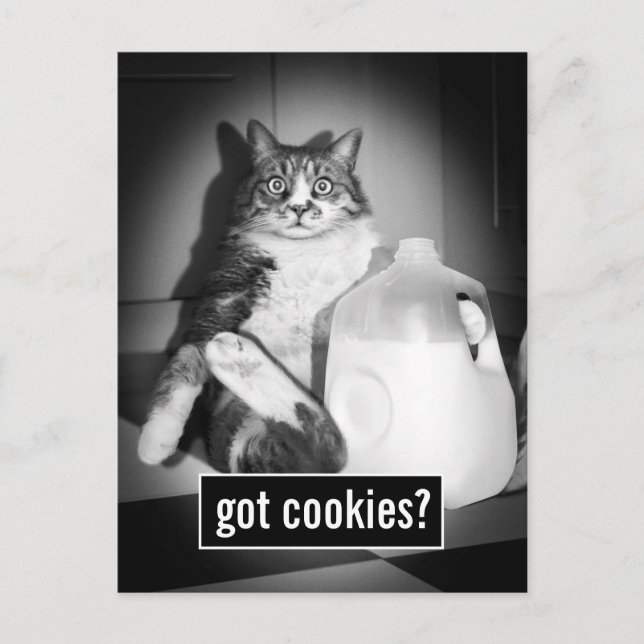 Invitation Carte Postale Chat Boire Du Lait De Jug (Devant)