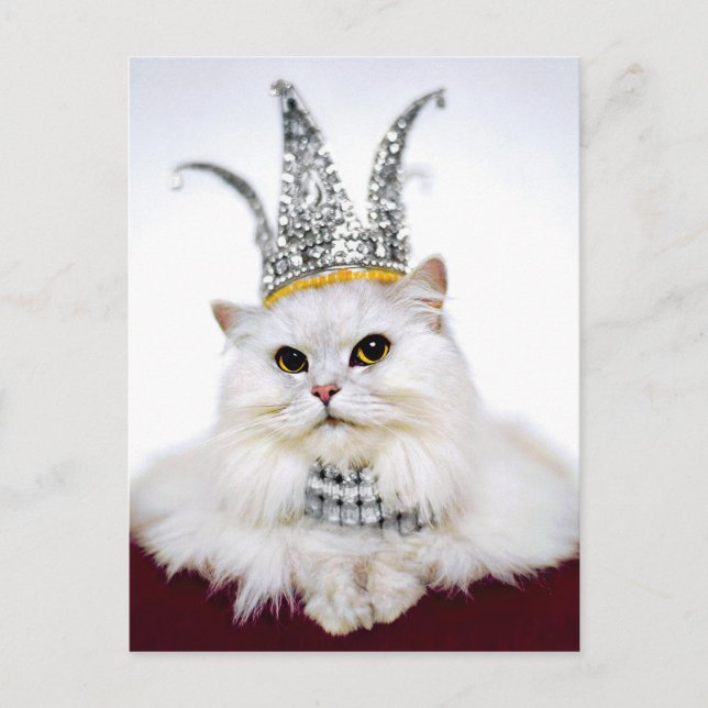 Invitation Carte Postale Chat dans une couronne (Devant)