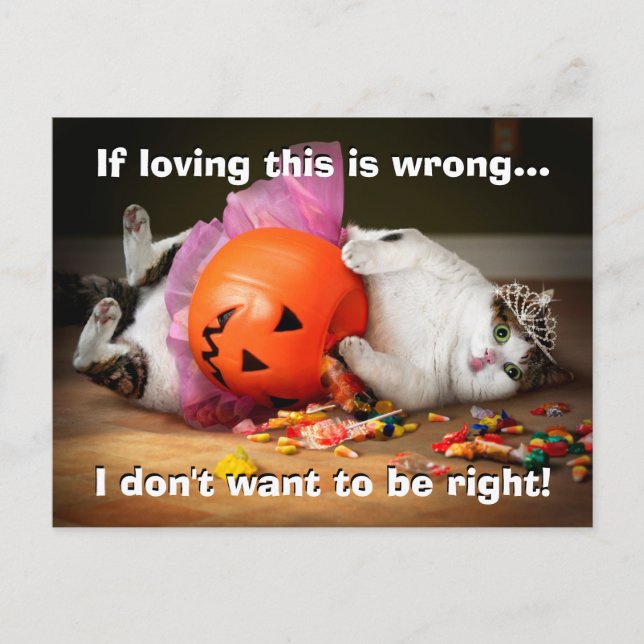 Invitation Carte Postale Chat Princess Avec Seau de Bonbons (Devant)