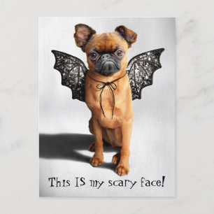 Invitation Carte Postale Chien avec ailes de chauve-souris