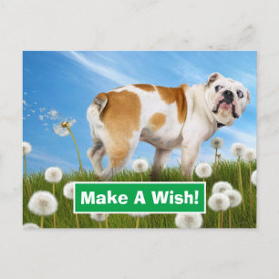Invitation Carte Postale Chien avec Dandelion