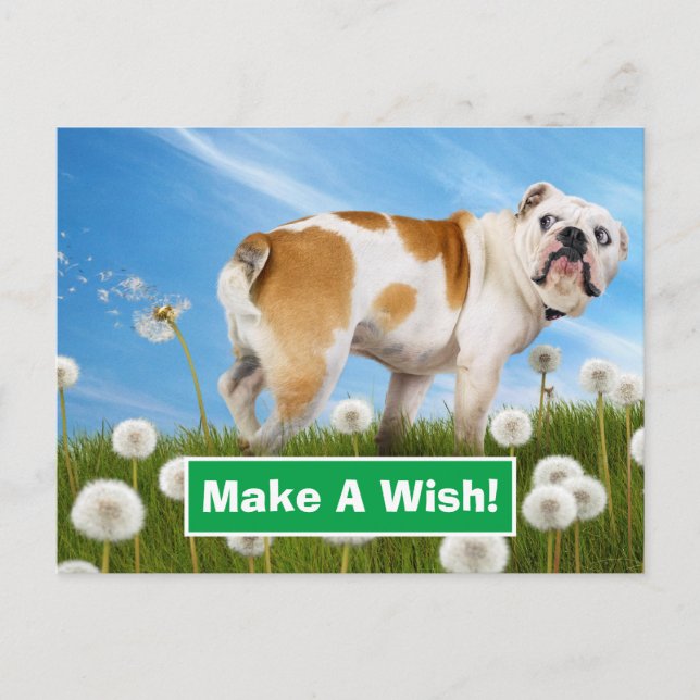 Invitation Carte Postale Chien avec Dandelion (Devant)