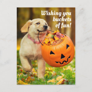 Invitation Carte Postale Chien avec seau de citrouille