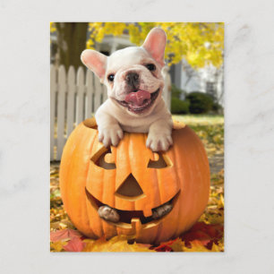 Invitation Carte Postale Chien dans une citrouille d'Halloween