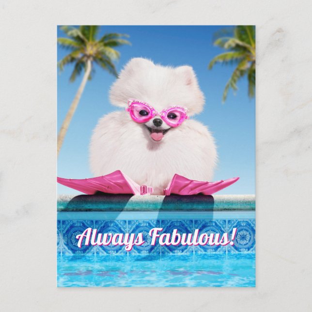 Invitation Carte Postale Chien De Piscine En Palmes (Devant)