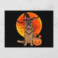 Chien Halloween Berger Allemand Jack Lantern Citro