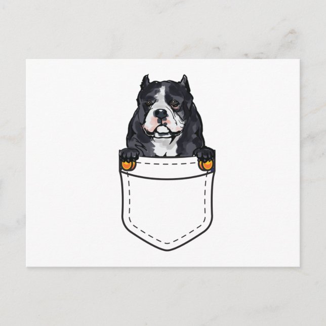 Invitation Carte Postale Chien Pocket Bully (Devant)