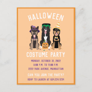 Invitation Carte Postale Chiens de la fête du costume d'Halloween