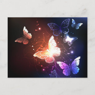 Invitation Carte Postale Clowing Night Butterflies