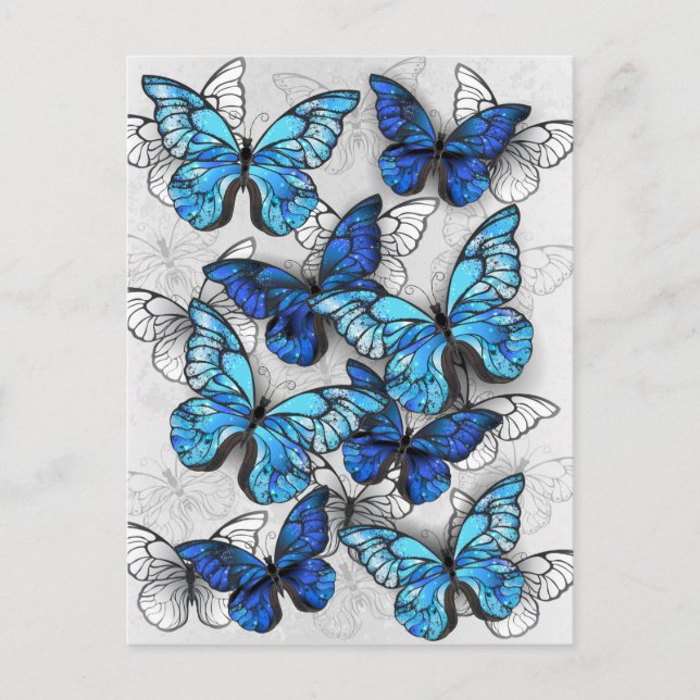 Invitation Carte Postale Composition des White and Blue Butterflies (Devant)