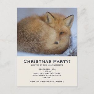Invitation Carte Postale Cute Little Fox Curling Up Winter Photo Noël
