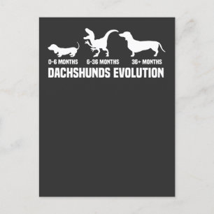 Invitation Carte Postale Dachshund Evolutions