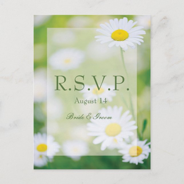 Invitation Carte Postale Daisy Daisies Fleur Floral Mariage d'été RSVP (Devant)