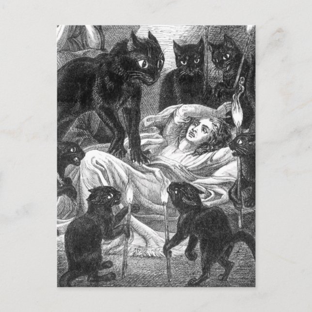 Invitation Carte Postale Dessin du chat noir rétro (Devant)