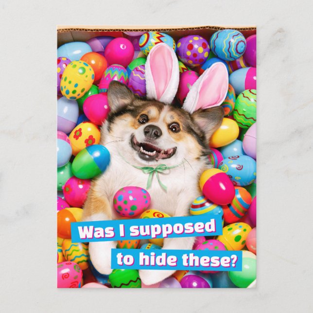 Invitation Carte Postale Dog Laying on Easter Eggs (Devant)