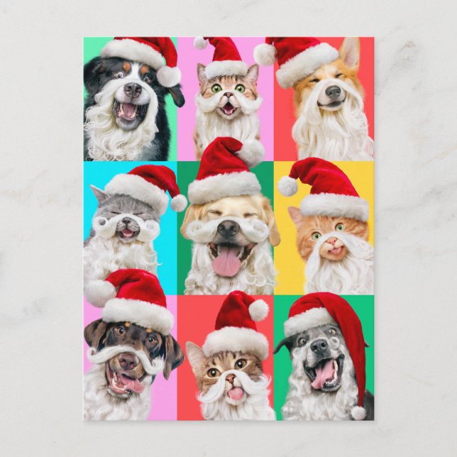 Invitation Carte Postale Dogs and Cats with Santa Beard (Devant)