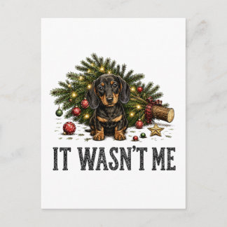 Invitation Carte Postale Drôle de Dachshund Noël Ce n'était pas moi