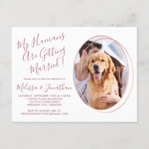 Invitation Carte Postale Elégant Rose Gold Custom Pet Photo Dog Mariage