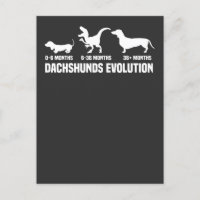 Évolutions de Dachshund