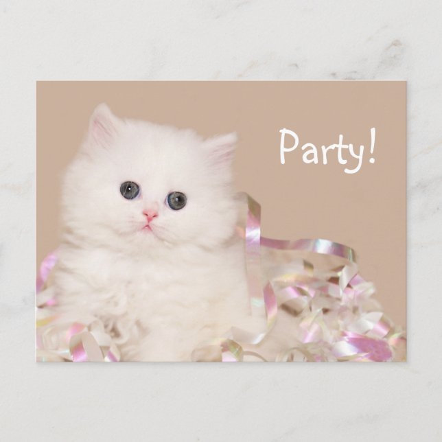 Invitation Carte Postale Fête de chaton ! (Devant)