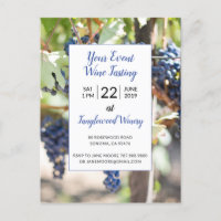 Fête de dégustation de vin de vignoble pour tout é