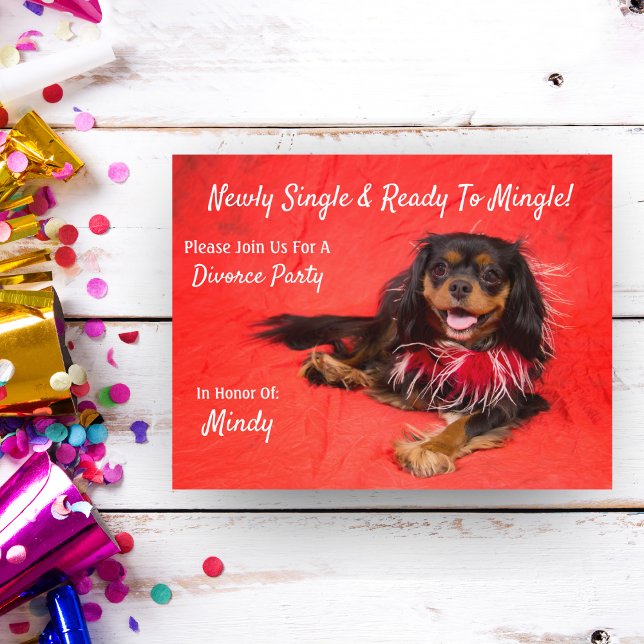 Invitation Carte Postale Fête de divorce Cavalier King Charles Spaniel (Créateur téléchargé)