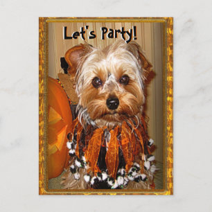 Invitation Carte Postale Fêtons pour Halloween Yorkie