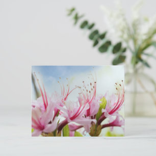 Invitation Carte Postale Fleurs sauvages de l'Azalée