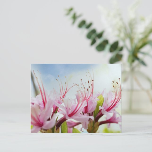 Invitation Carte Postale Fleurs sauvages de l'Azalée (Debout devant)