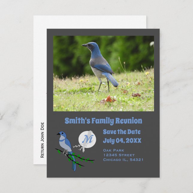 Invitation Carte Postale Floride Scrub Jay Famille Réunion Monogramme Photo (Devant / Derrière)