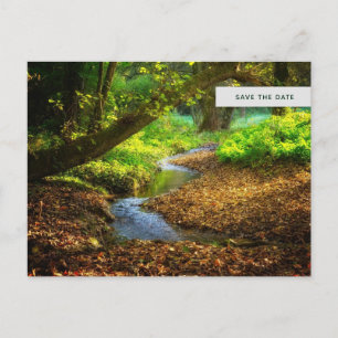 Invitation Carte Postale Forest Creek Belle nature Photo Enregistrer la dat