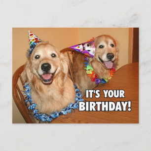 Invitation Carte Postale Golden Retriever Faisons la fête Anniversaire