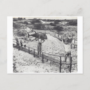 Invitation Carte Postale Grands poissons -