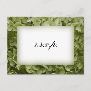 Invitation Carte Postale Green Annabelle Hydrangea Wedding RSVP