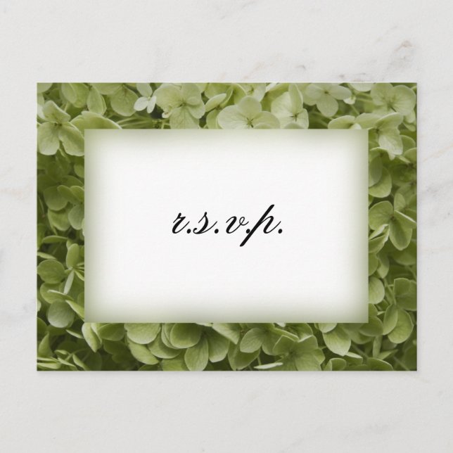 Invitation Carte Postale Green Annabelle Hydrangea Wedding RSVP (Devant)