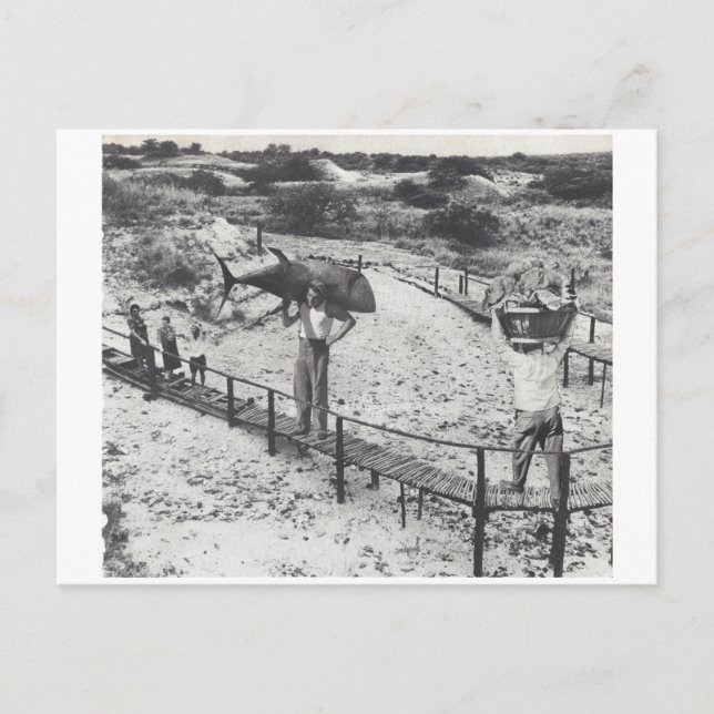 Invitation Carte Postale Gros poissons - (Devant)