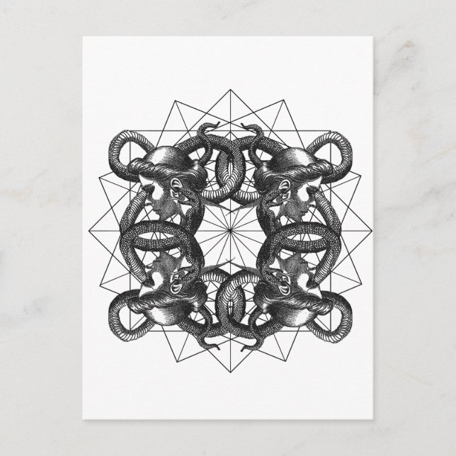 Invitation Carte Postale Hermetica Moderna - Medusa entrelacée (Devant)