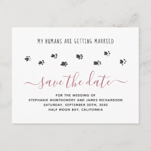 Invitation Carte Postale Humains Mariages d'animaux de compagnie se marier