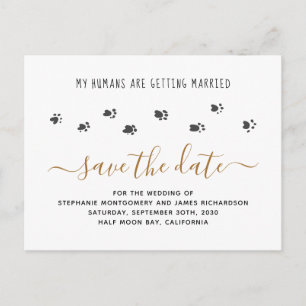 Invitation Carte Postale Humains se marier Mariage d'animaux de compagnie S