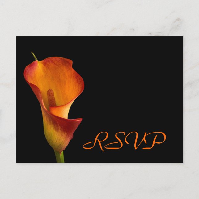 Invitation Carte Postale Insertion RSVP (Devant)