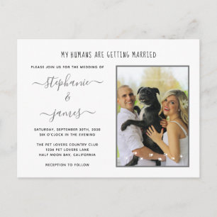 Invitation Carte Postale Les humains se marient Photo de mariage argentée p