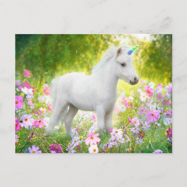 Invitation Carte Postale Licorne Poney Blanc (Devant)