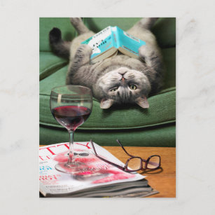Invitation Carte Postale Livre de lecture des chats vers le bas