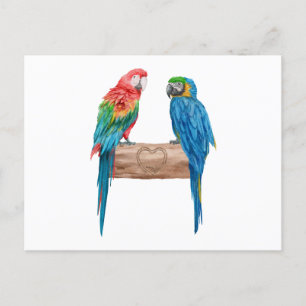 Invitation Carte Postale Macaw Bird Parrot Lover Watercolor