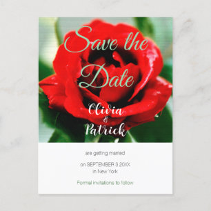 Invitation Carte Postale Mariage Rose Rouge Save the Date
