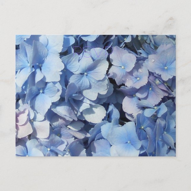 Invitation Carte Postale Mariage RSVP Blue Hydrangea (Devant)