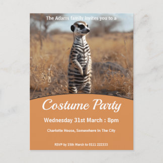 Invitation Carte Postale Meerkat In Zebra Disdéguisement Costume Party