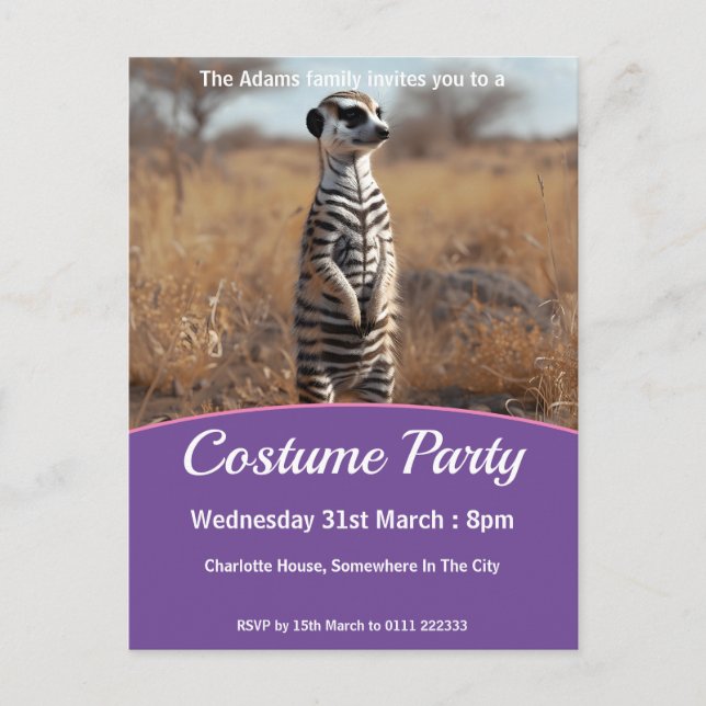 Invitation Carte Postale Meerkat In Zebra Disdéguisement Costume Party (Devant)