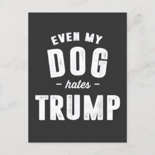 Invitation Carte Postale Même mon chien déteste Trump et l'Humour